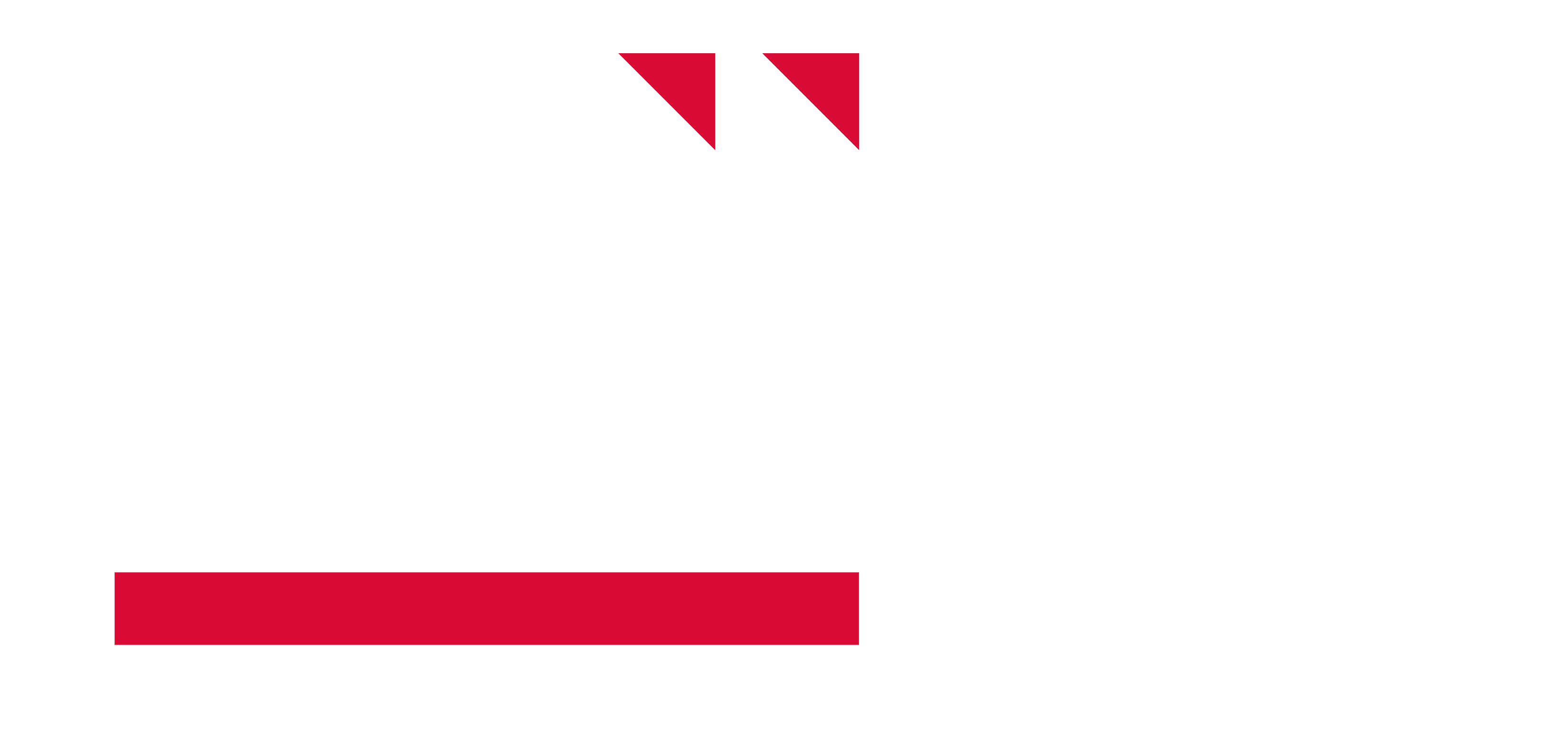 logo bruck blanco